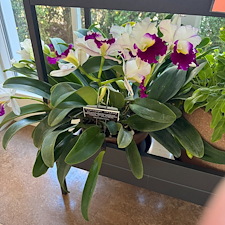 Commercial-pressure-washing-project-in-Richmond-Virginia 4