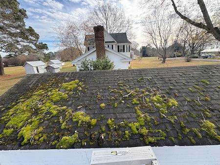 Roof Cleaning in Irvington, VA