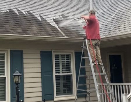 Roof Cleaning